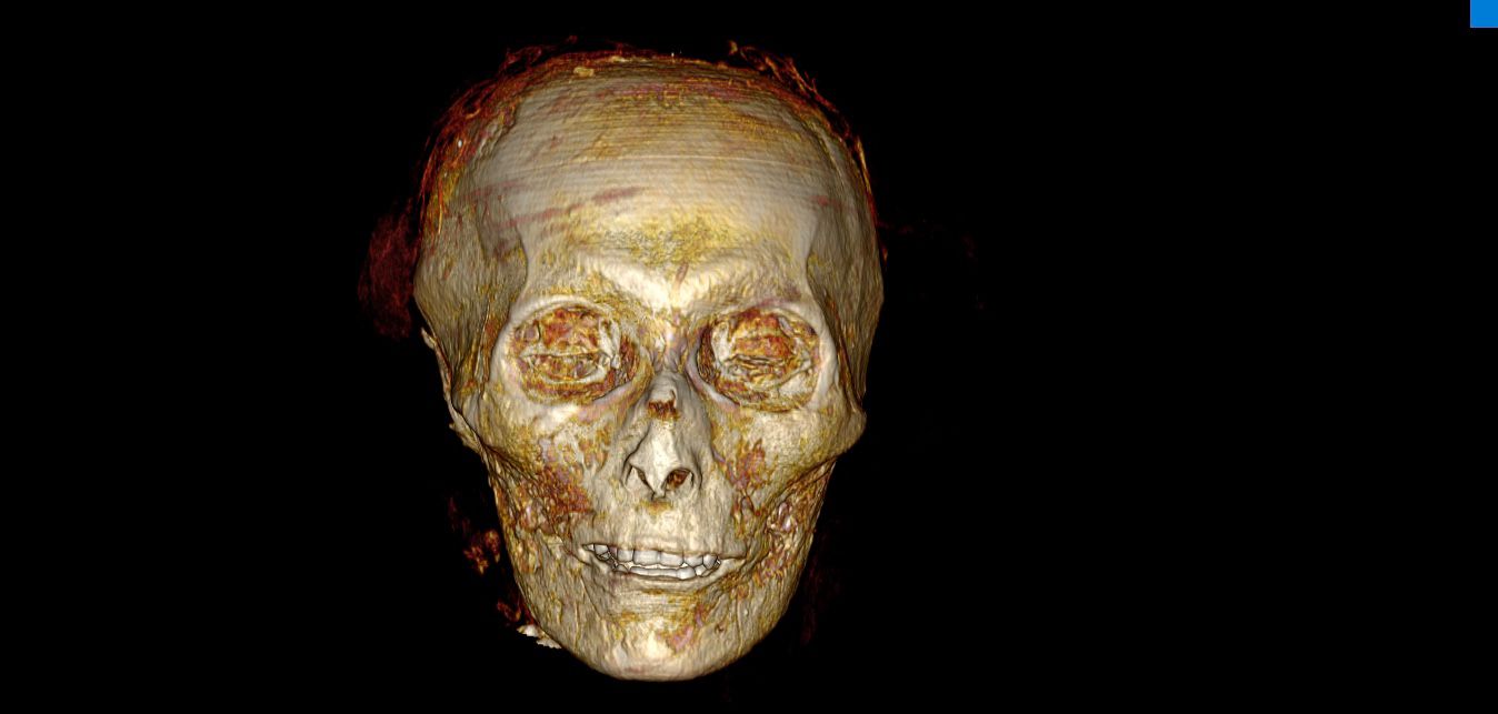 Skull of Amenhotep I - Press photo