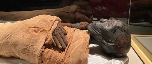 Royal Mummies Hall - ET