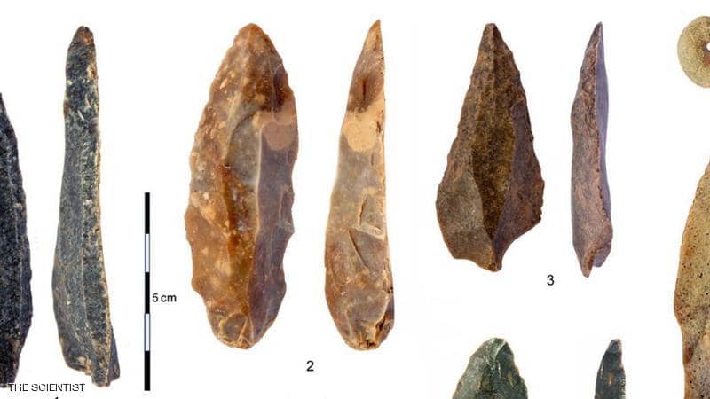 Teeth remains found in Europe - ET