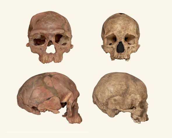 Skulls of Morroco - ET 