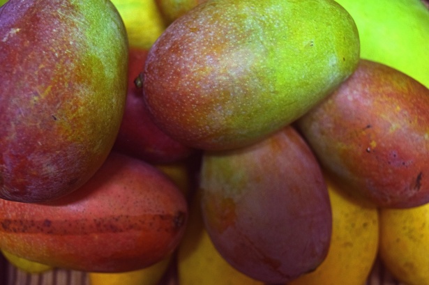 mangoes-14