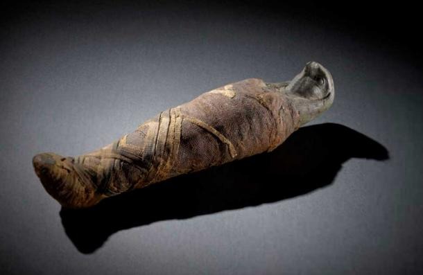 Mummification of animals in ancient Egypt - social media