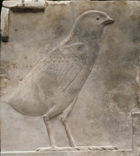 Plaque Depicting a Quail Chick, Ptolemaic Period (332–30 BCE)