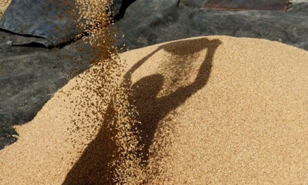 © AFP/File | An Indian farmer sorts through their wheat crop in a village on the outskirts of Beawar, southwest of Jaipur in the western state of Rajasthan, on April 1, 2016
