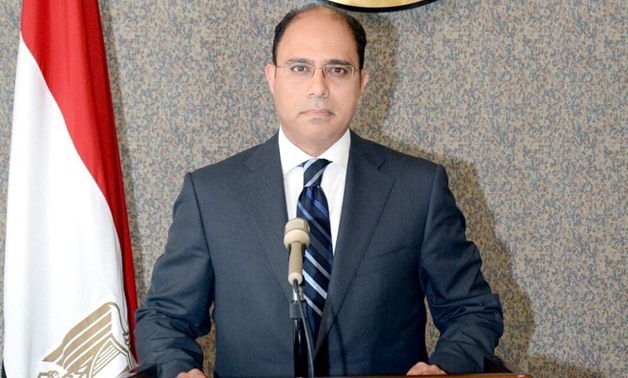 Foreign Ministry spokesman Ahmed Abu Zeid - File photo