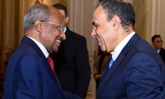 Egyptian Minister of Foreign Affairs and Immigration Badr Abdelatty meets with Osman Saleh, Minister of Foreign Affairs of Eritrea, in Cairo, on January 11, 2025- press photo