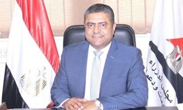 Chairman of the Information and Decision Support Center for the Egyptian Cabinet, Hossam El-Gamal