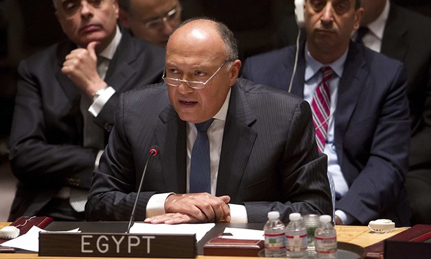 Egyptian Foreign Minister Sameh Shoukry - YOUM7 (Archive)