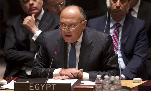 Egyptian Foreign Minister Sameh Shoukry- File photo