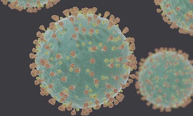 Egypt records 168 new coronavirus cases, 13 deaths