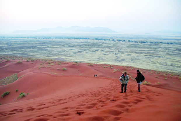 The Namibia desert.