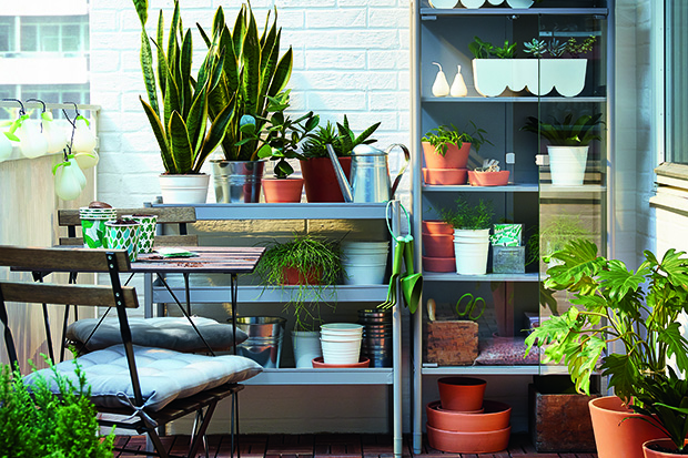 HINDÖ Grey greenhouse cabinet (right side of the picture], LE 995). HINDÖ Shelving unit (on the left side of the picture, LE 895). INGEFÄRA Plant pot with saucer (LE 29). SOCKER Watering can in assorted colors (LE 129).