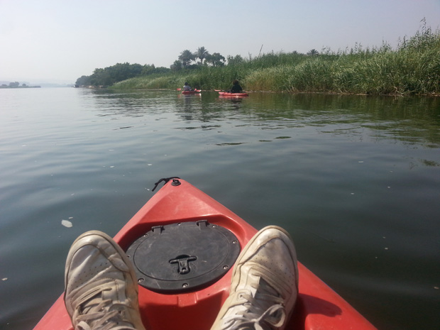 kayaking nile birdwatching cairo 2
