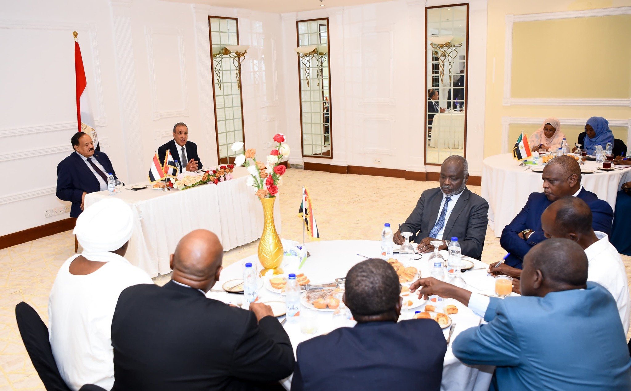 Egypt FM meets with Sudanese political and civil representatives