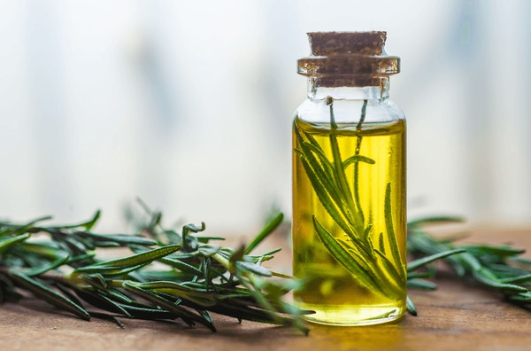 Rosemary Oil