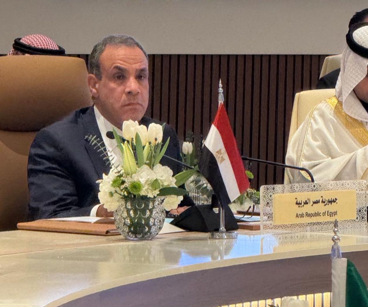 Egypt FM during the Riyadh meetings