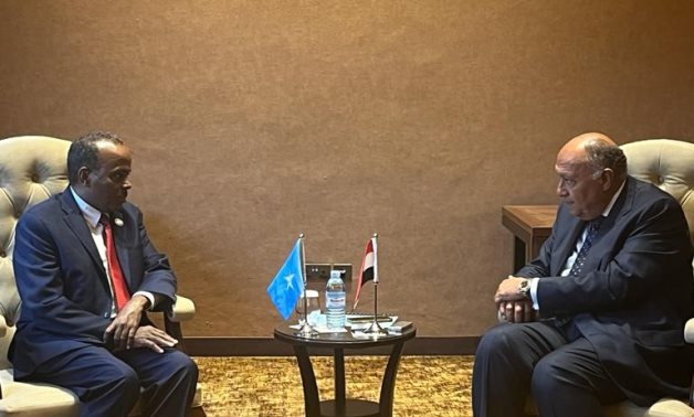 Egypt Expresses Solidarity With Somalia Against Attempts To Breach Its ...