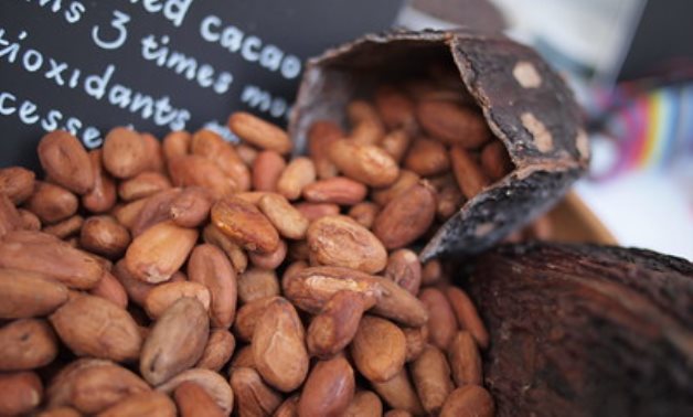 Upper Egypt may be suitable for cocoa beans cultivation due to climate ...