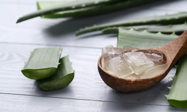 Aloe Vera Gel: Nature’s Miracle for a Healthy and Glowing Skin - EgyptToday