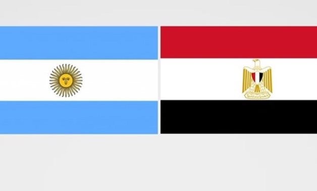 Egypt's Amb. to Argentina stresses historical ties between two countries